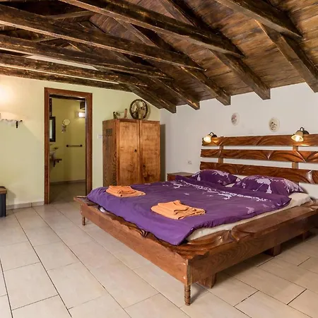 Cozy In With Outdoor Swimming Pool Vakantiehuis